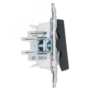 SKANDY Выключатель 2-клавишный проходной 10А SK-V05G графит IEK - фото 4