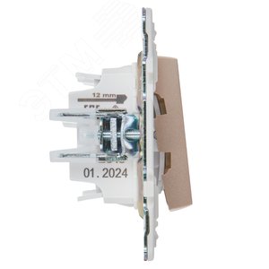 SKANDY Выключатель 2-клавишный проходной 10А SK-V05Sa песочный IEK - фото 4