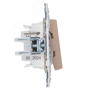 SKANDY Выключатель 2-клавишный проходной с индикацией 10А SK-V10Sa песочный IEK - фото 4