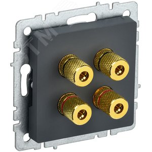 BRITE Аудиорозетка 4 поста РА10-БрГ графит - фото 1