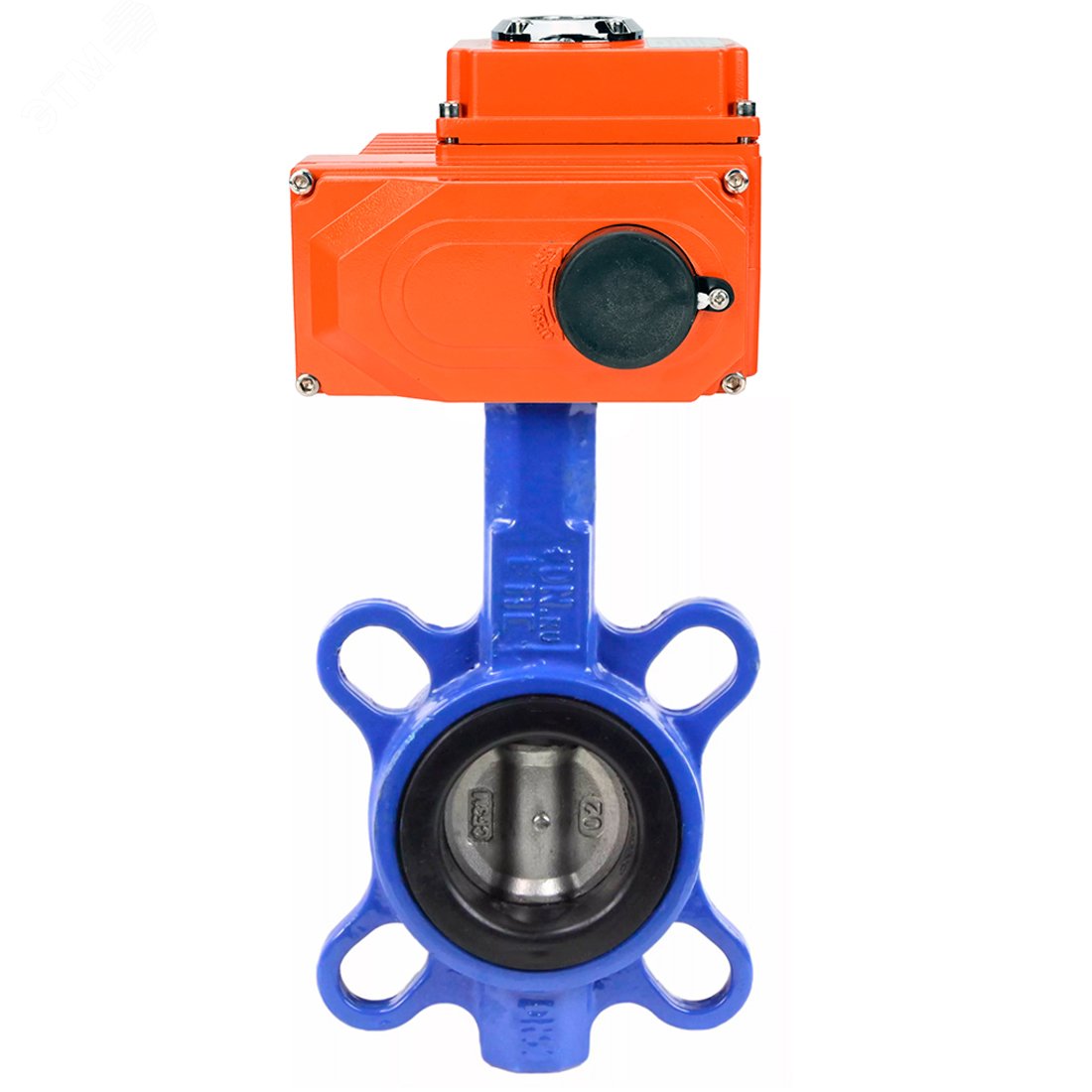 Изображение товара Затвор дисковый поворотный WCB-316L-EPDM Ду80 Ру16 с электроприводом