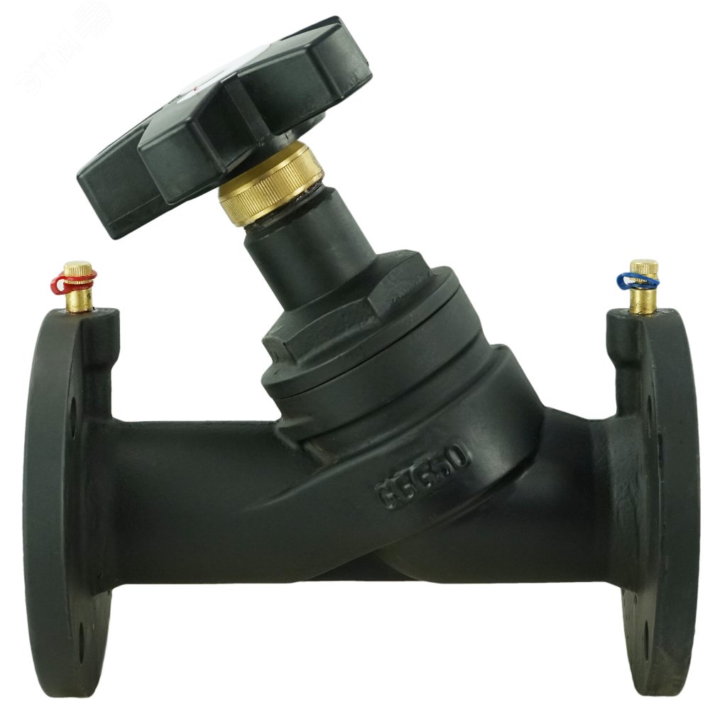 Изображение товара Клапан балансировочный чугунный Ду65 Ру16 фланцевый с ниппелями