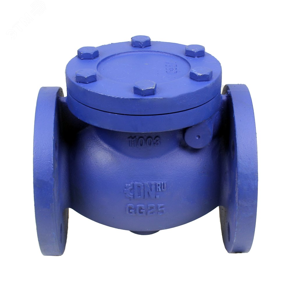 Изображение товара Клапан обратный 302A Ду65 Ру16 фланцевый, поворотный, корпус чугун, диск нержавеющая сталь, уплотнение нержавеющая сталь (шт)