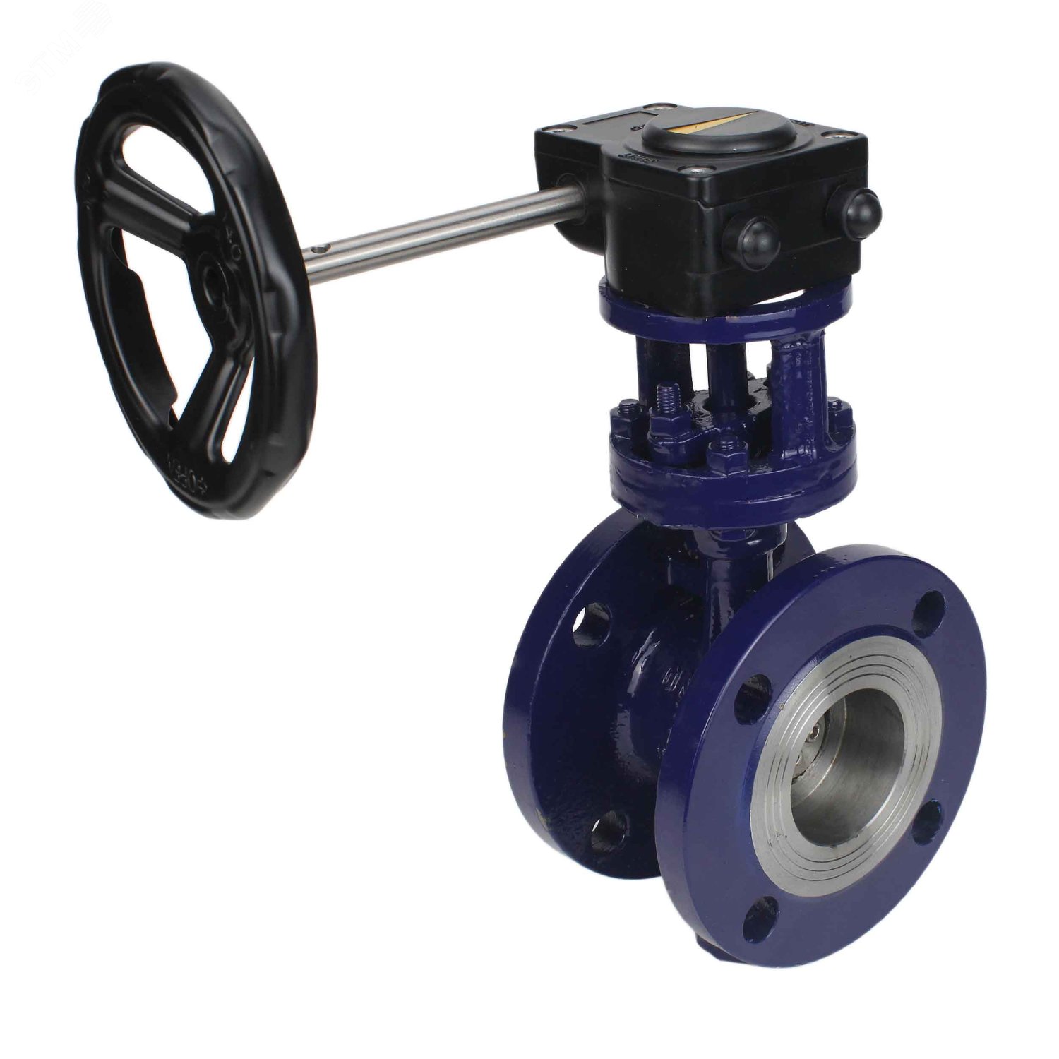 Изображение товара Затвор дисковый поворотный WCB-304-M-F-ISO Ду65 Ру25 фланцевый