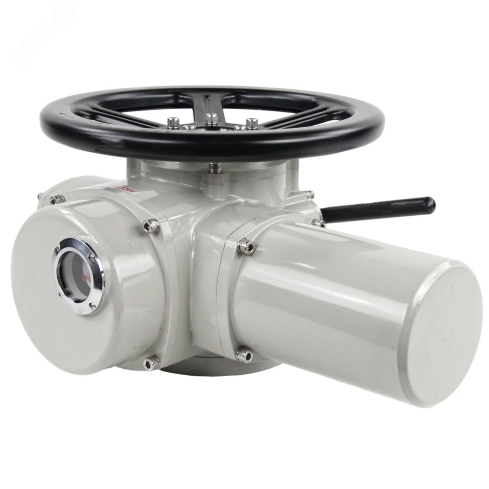 Изображение товара Электропривод многооборотный M-450-220 220В (шт)