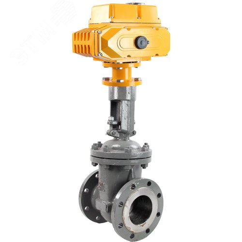 Изображение товара Задвижка клиновая 30с964нж Ду100 Ру25 фланцевая, корпус сталь 25Л, уплотнение металл, с электроприводом M200-380, 380В (шт)