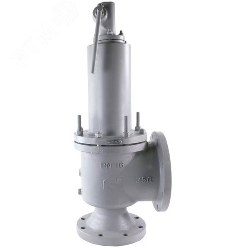Изображение товара Клапан предохранительный SAFE 7011 Ду125/150 Ру16 полноподъемный пружинный фланцевый, корпус сталь 25Л, уплотнение металл (с настройкой 6 бар) (шт)