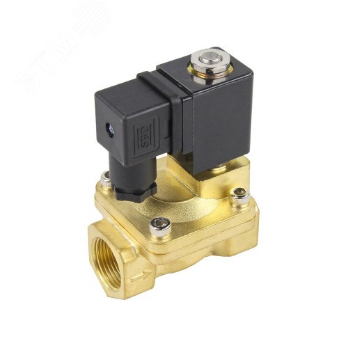 Изображение товара Клапан электромагнитный VS2W-400V-PU-NC 2'' Ду50 Ру10 пилотного действия двухходовой, корпус латунь, присоединение внутренняя резьба, уплотнение VITON, нормально-закрытый, катушка 24В AC (шт)