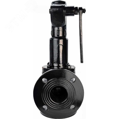 Изображение товара Клапан предохранительный SAFE 7011 Ду100/125 Ру16 полноподъемный пружинный фланцевый, корпус сталь 25Л, уплотнение металл (с настройкой 0.6 бар) (шт)