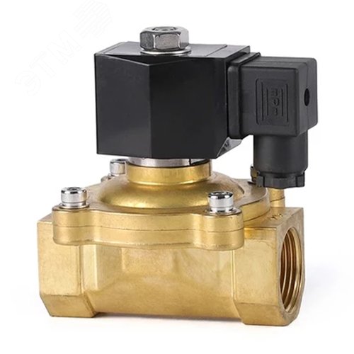 Изображение товара Клапан электромагнитный соленоидный двухходовой VS2W-200N-NC Ду25 Ру10 корпус латунь, прямого действия, присоединение внутренняя резьба 1, нормально-закрытый (НЗ), уплотнение NBR, катушка 220В (шт)