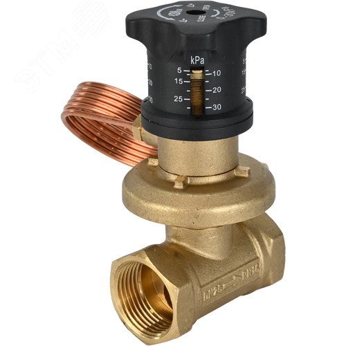 Изображение товара Клапан балансировочный автоматический ЛС59-E-Ду25 Ру16 латунный, резьбовой, уплотнение EPDM, Тмакс=120 град., без ниппелей (шт)