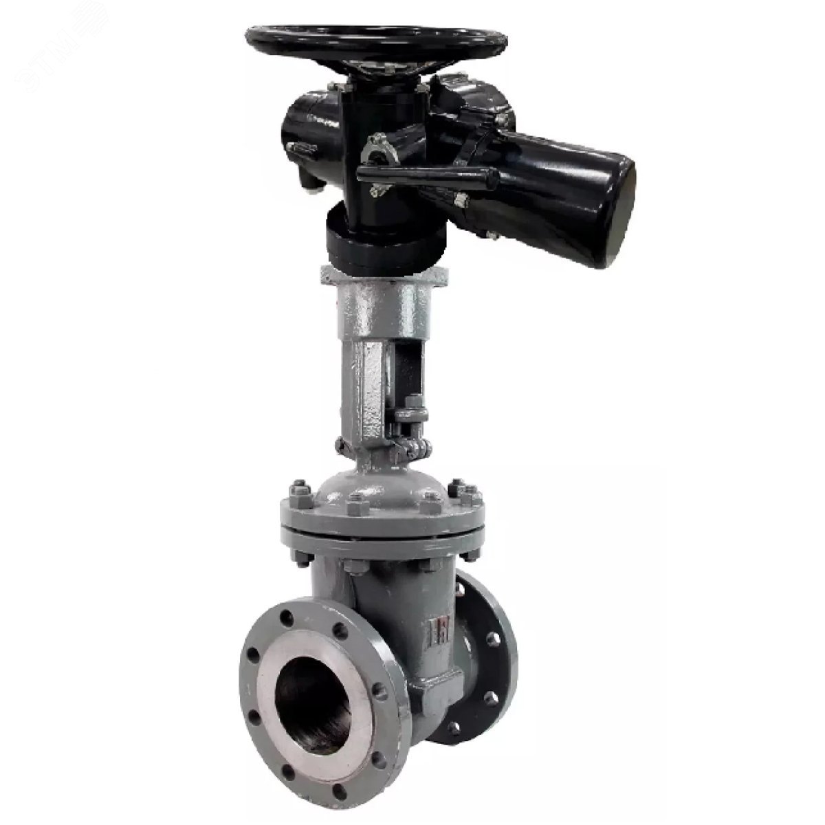 Изображение товара Задвижка клиновая 25Л-25Л-M-2W-F-ОСТ Ду50 Ру16 электропривод фланцевая