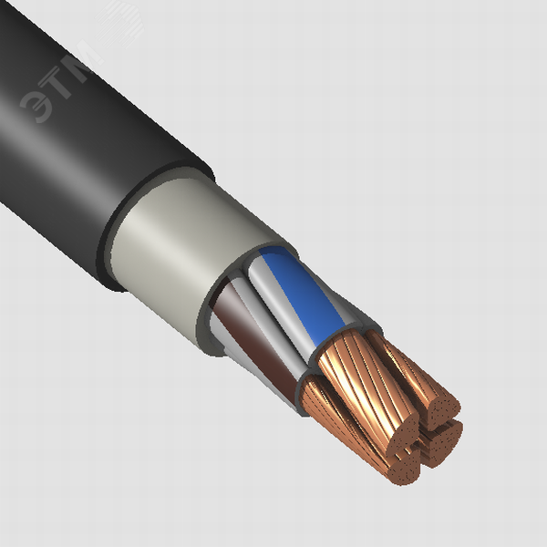 Кабель силовой ВВГнг(А)-LSLTx 4х70.0мс (N) -1 ТРТС