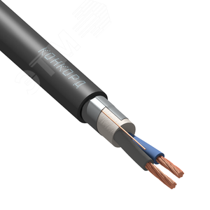 Изображение товара Кабель силовой КГВВэнг(А) 2х2,5(N) 380/660-2 ТРТС (м)