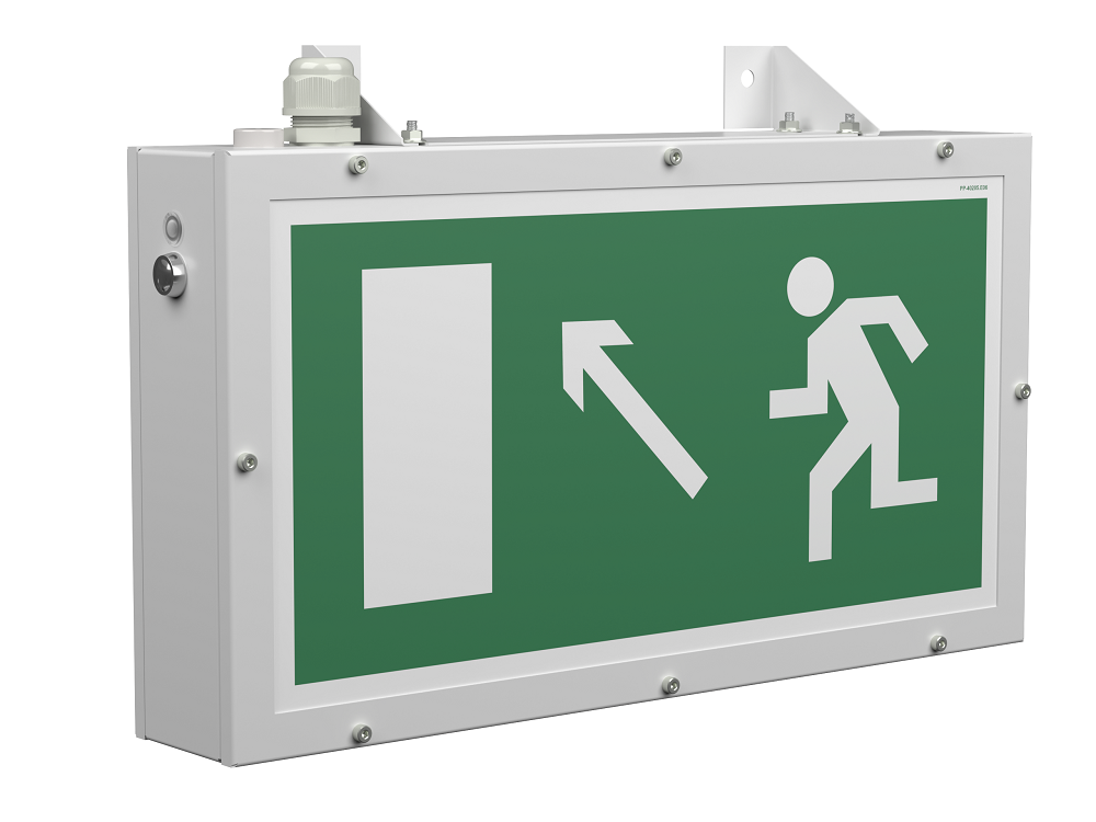 Оповещатель пожарный световой BS-FLAGMAN-10-F1-24