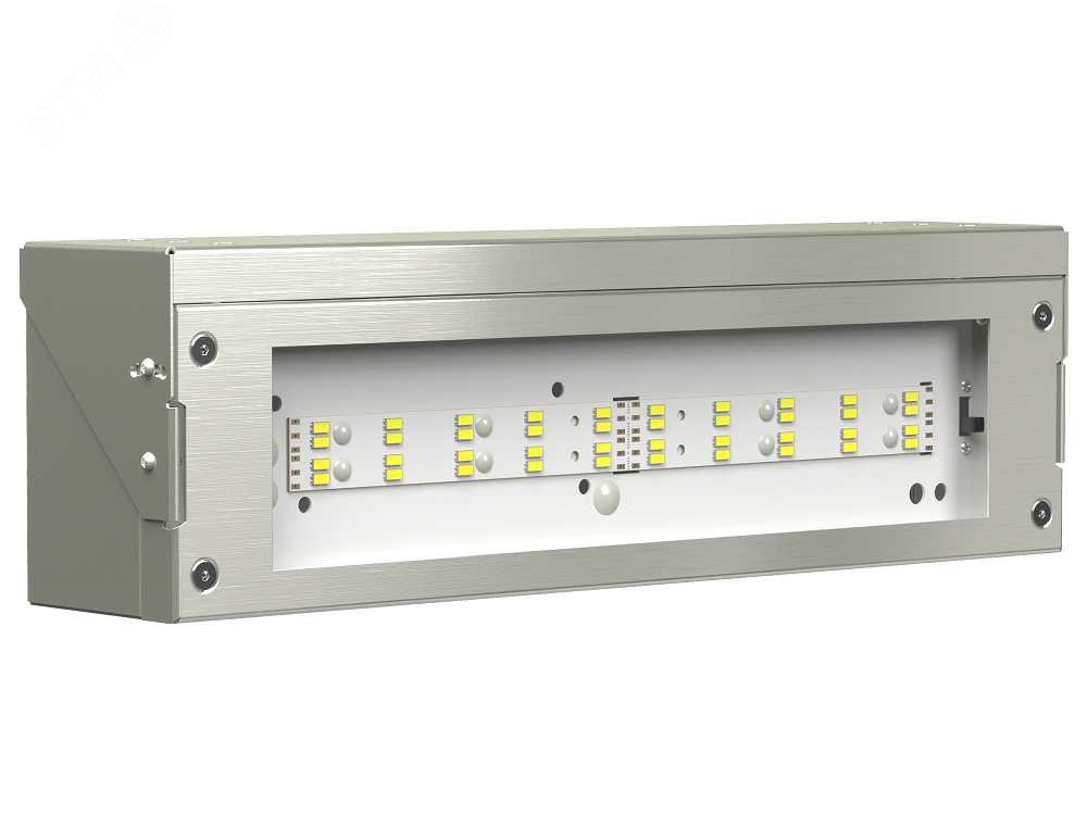 Изображение товара Аварийный светильник BS-DBU-10-L2-12/24 - аварийное освещение для промышленных помещений и туннелей