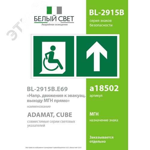 Знак безопасности BL-2915B.E69''Напр. движения к эвакуац. выходу МГН прямо'' - фото 2