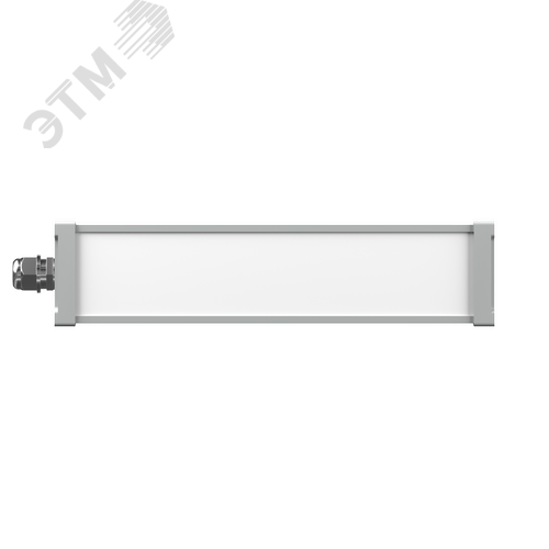 Аварийный светильник BS-AMON-10-L1-12/24 V04 4000K - фото 2