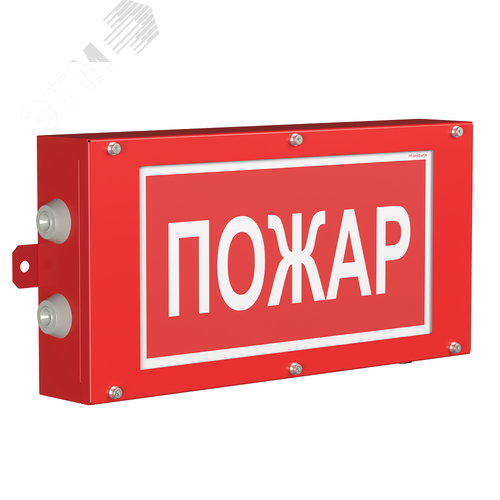 Световой указатель BS-CANRON-71-S1-INEXI3-MSS3 - фото 1