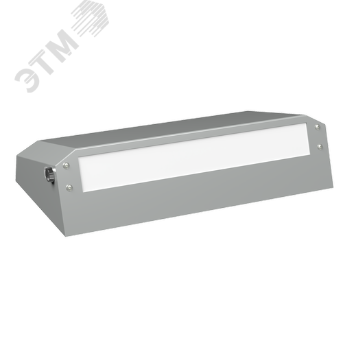 Аварийный светильник BS-CUSTOS-51-L1-INEXI3 4000K Gray MSS3 - фото 2