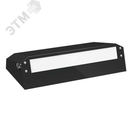 Аварийный светильник BS-CUSTOS-51-L1-INEXI 4000K Black - фото 2
