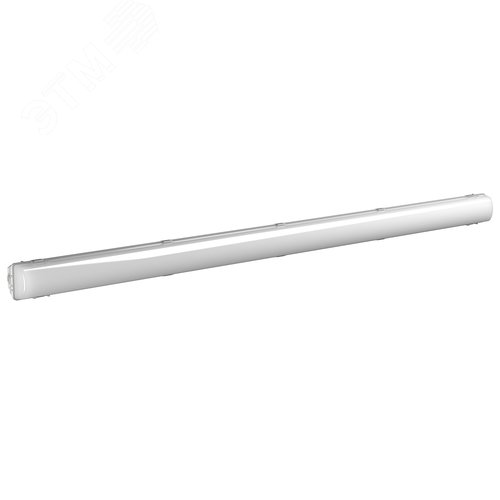 Изображение товара Аварийный светильник BS-DECTON-10-L2-12/24 SMC V01 4000K (шт)