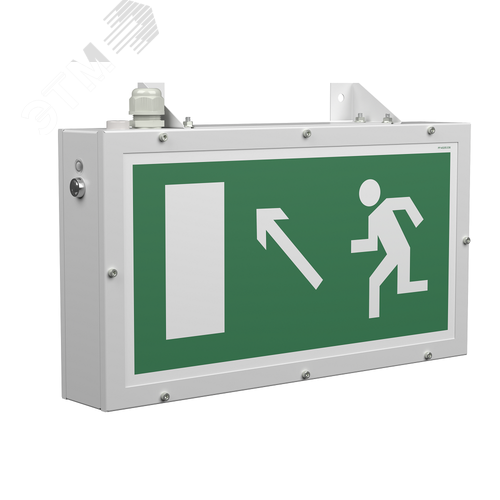 Световой указатель BS-FLAGMAN-51-S1-INEXI3-MSS3 - фото 1