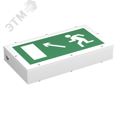 Световой указатель BS-FLAGMAN-51-S1-INEXI3-MSS3 - фото 2