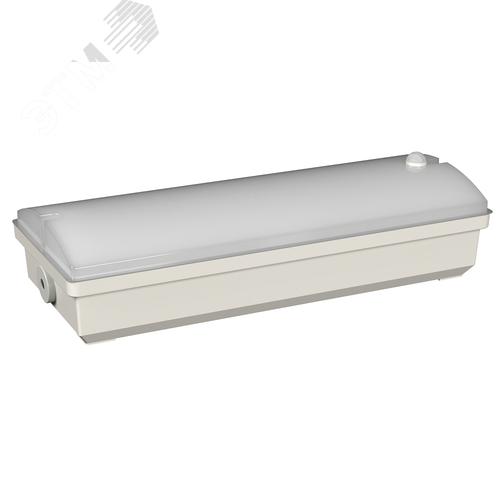 Аварийный светильник BS-METEORIT-10-L5-LED 4000K DD01 - фото 2