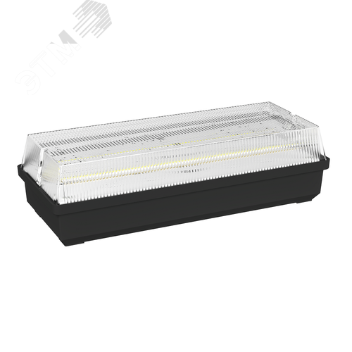 Аварийный светильник BS-UNIVERSAL-10-L1-12/24 5000K Black - фото 2