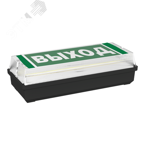 Световой указатель BS-UNIVERSAL-51-S1-INEXI2 5000K Black - фото 2