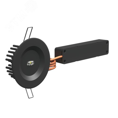 Аварийный светильник BS-ARUNA-10-L2-12/24 IP65 Black - фото 1