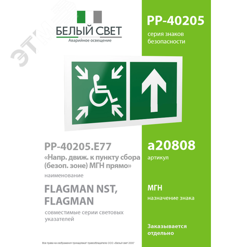 Знак безопасности PP-40205.E77''Напр.движ. к пункту сбора(безоп.зоне)МГН прямо'' - фото 2