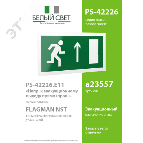 Знак безопасности PS-42226.E11''Напр. к эвакуационному выходу прямо (прав.)'' - фото 2