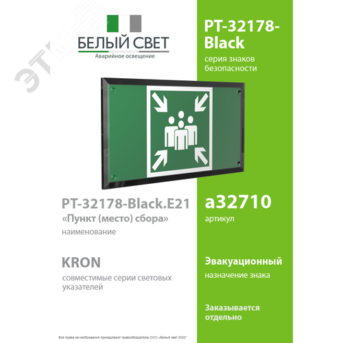 Знак безопасности PT-32178-Black.E21''Пункт (место) сбора'' - фото 2