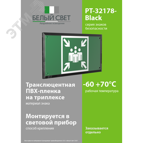 Знак безопасности PT-32178-Black.E21''Пункт (место) сбора'' - фото 3