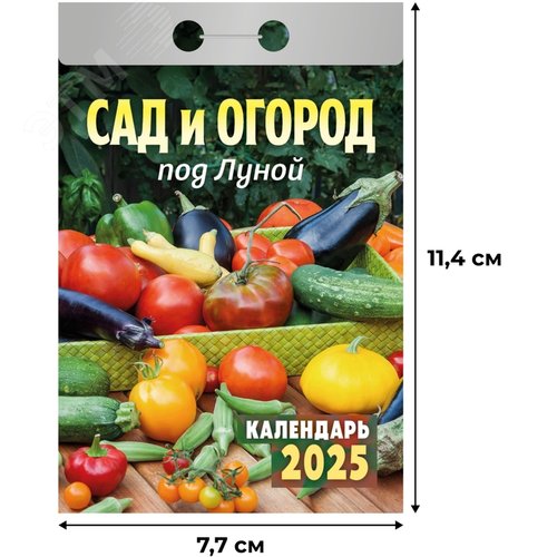 Изображение товара Календарь настенный отрывной Атберг98 2025 год Сад и огород 7.7х11.4 см (ОКА1925) (шт)