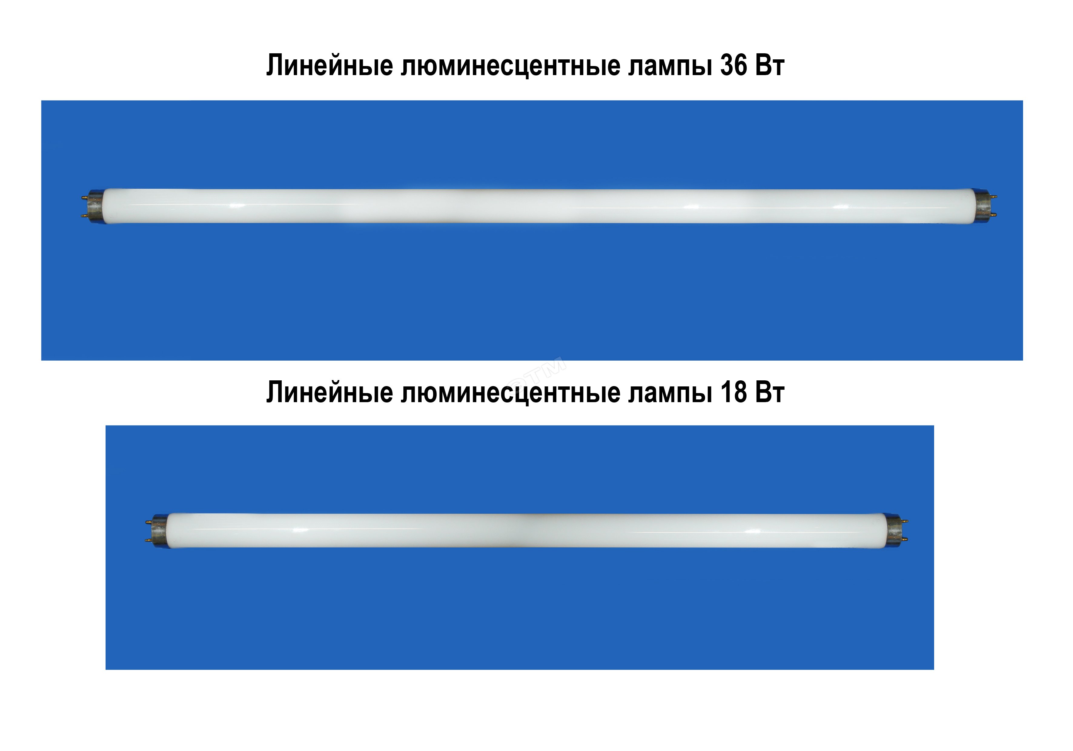 Длина лампы. LEDVANCE лампа линейная ЛЛ 36вт l 36/640. Лампа линейная люминесцентная ЛЛ 18вт t8 18/640 2 30в g13. Светильник линейный люминесцентный 36вт. Лампа линейная люминесцентная ЛЛ 36вт t8 36/765 2 30в g13.