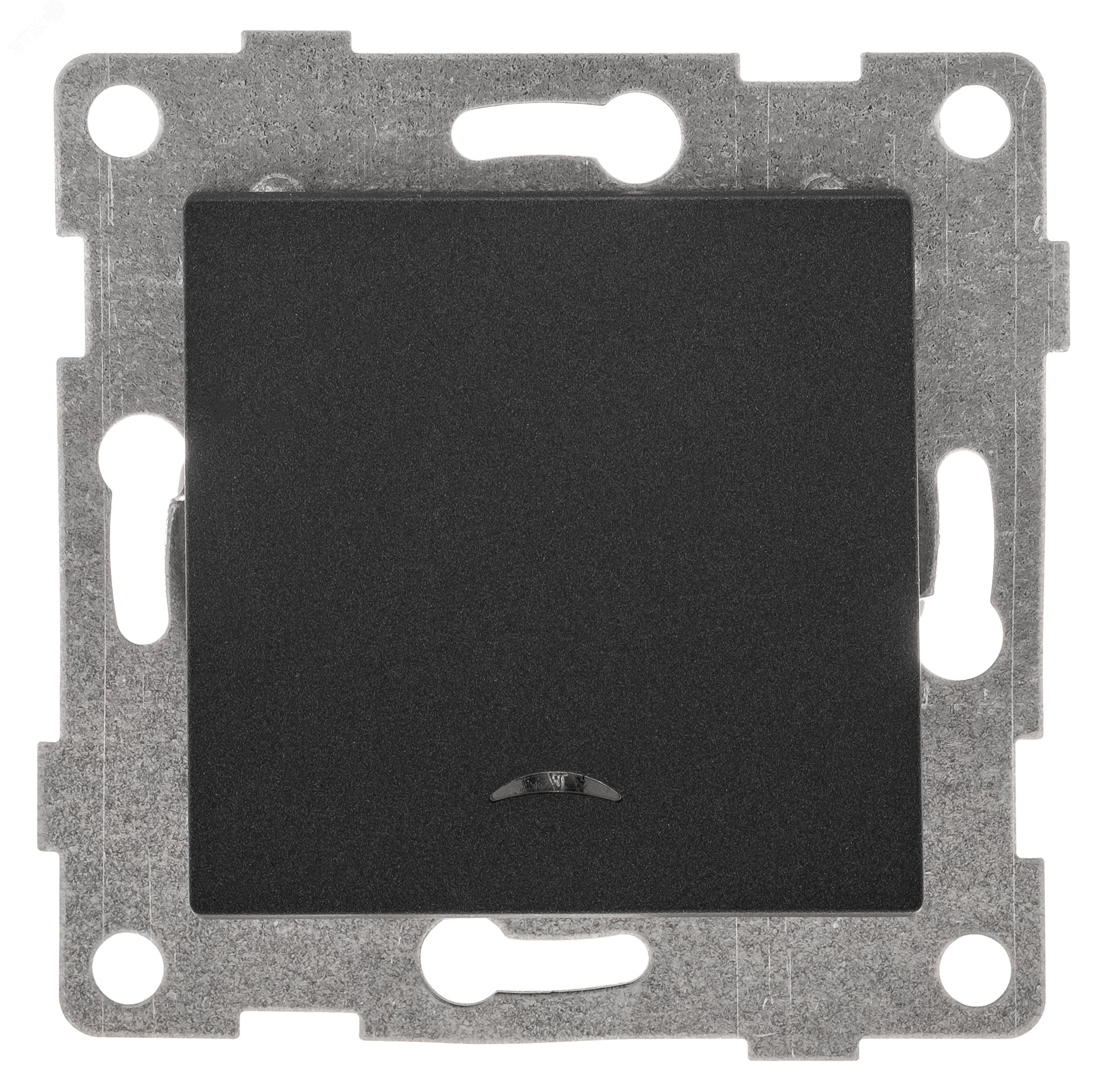 Изображение товара Выключатель одноклавишный Ugra инд, механизм, 10А, 250В, графит (шт)