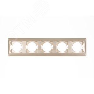 Изображение товара Рамка 5-местная Ugra, шампань (шт)