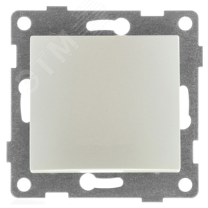 Изображение товара Выключатель одноклавишный Bravo, механизм, 10А, 250В, жемчуг (шт)