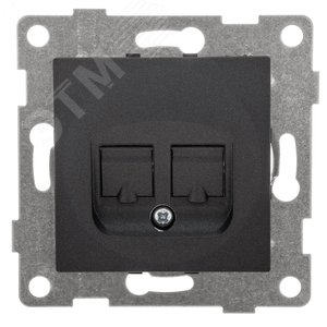 Изображение товара Розетка компьютерная RJ45 Ugra, механизм, двойной, графит (шт)