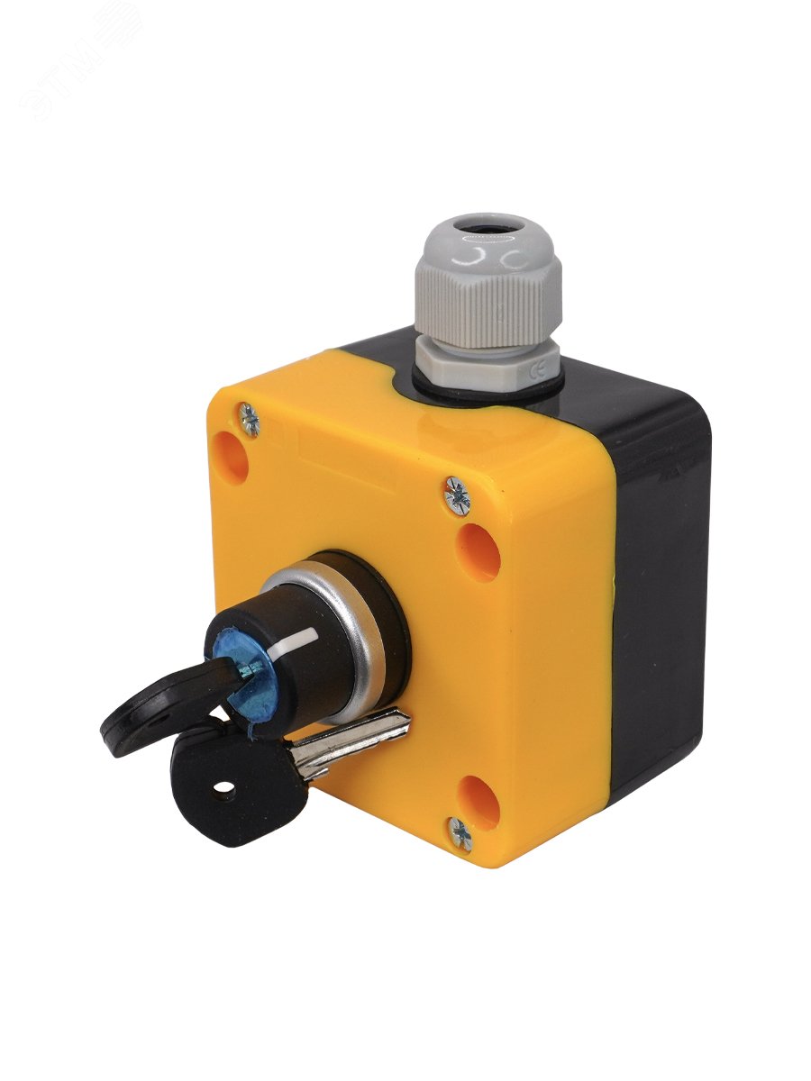 Изображение товара Пост управления ПКУ-22-1441-65У1, 1 переключатель на 2 положения с фиксацией с ключом IP65