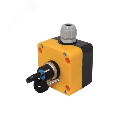 Изображение товара Пост управления ПКУ-22-1441-65У1, 1 переключатель на 2 положения с фиксацией с ключом (НО), IP65 (ЭТ) (шт)