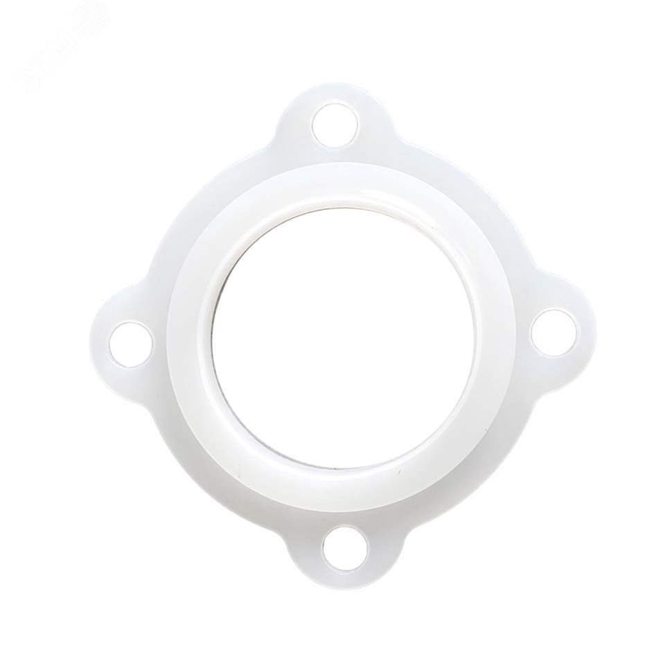 Изображение товара Уплотнительная прокладка D85мм с 4 лепестками от ИТАТЭН