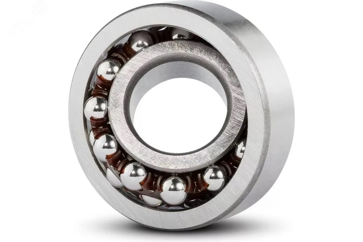 Изображение товара Подшипник 1205-TVH (шт)