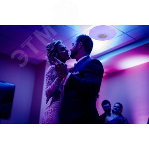 Светильник светодиодный ДБО-75 настенно-потолочный управляемый DIAMOND-RGB 230В 3000-6500K 6000Лм 502x83мм с RGB подсветкой и BT колонкой - фото 3