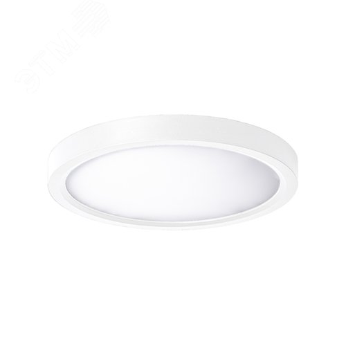 Светильник светодиодный ДБО-24 Вт настенно-потолочный SLIM WHITE 4500K 1620Лм 230x25мм - фото 3