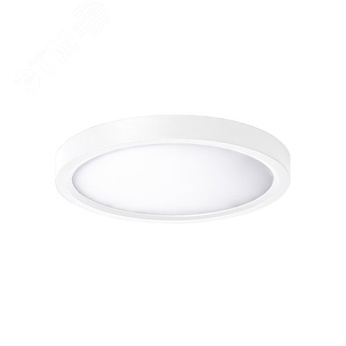 Светильник светодиодный ДБО-24 Вт настенно-потолочный SLIM WHITE 6500K 1660Лм 230x25мм - фото 3