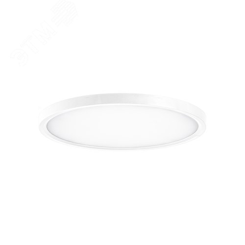 Светильник светодиодный ДБО-28 Вт настенно-потолочный SLIM WHITE 4500K 2398Лм 300x25мм - фото 3